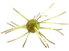 Strike King Tumbleweed Summer Craw