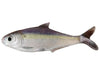 True Bass Fishing Texas Shad 6 Line Thru  Blueback Herring