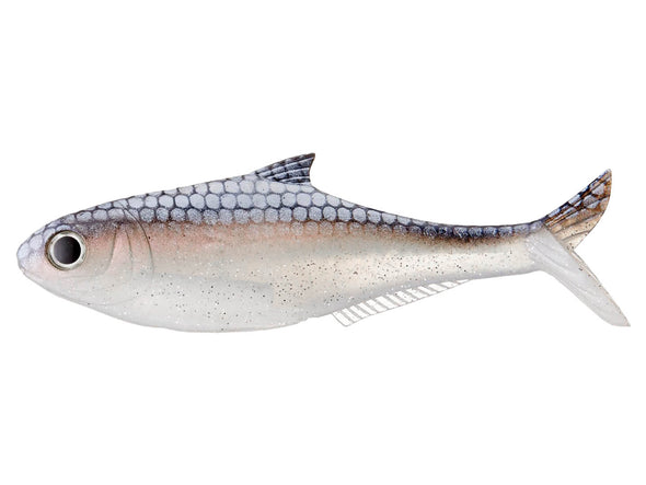 True Bass Fishing Texas Shad 6 Line Thru Winner Minner