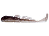 X Zone Stealth Invader Tennessee Shad
