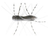 Z-Man Fuzzy BugZ Electric Shad