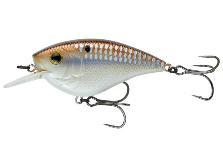 6th Sense Fishing Crush Flat 75X Crankbait – Harpeth River Outfitters