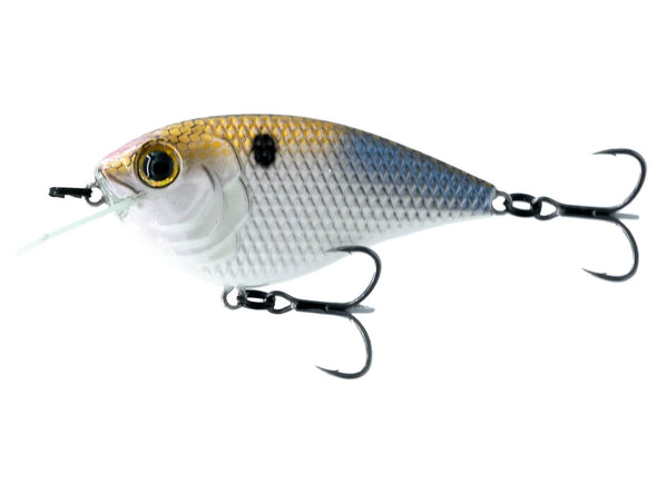 6th Sense Fishing Flat Finesse F4 4K Shad