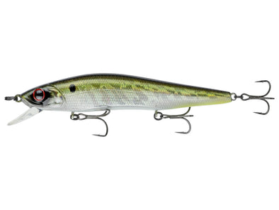 Hard Jerkbaits – Harpeth River Outfitters