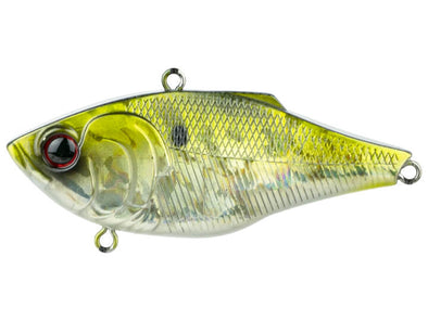 6th Sense Fishing Quake American Shad