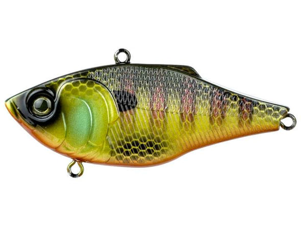 6th Sense Fishing Quake Bluegill Fire
