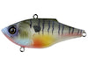 6th Sense Fishing Quake Bluegilla