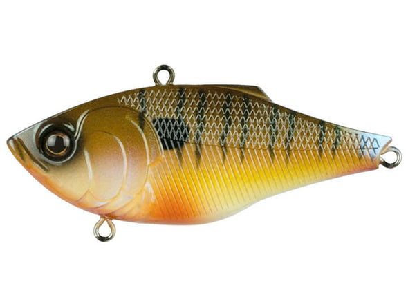 6th Sense Fishing Quake Cajun Bluegill