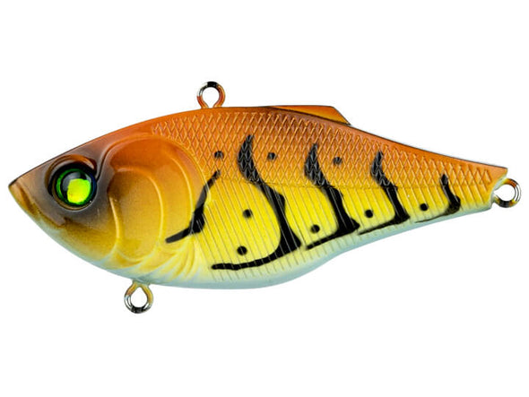 6th Sense Fishing Quake Tiger Craw
