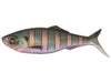 6th Sense Fishing Sweep Swimbait Bluegill Spawn