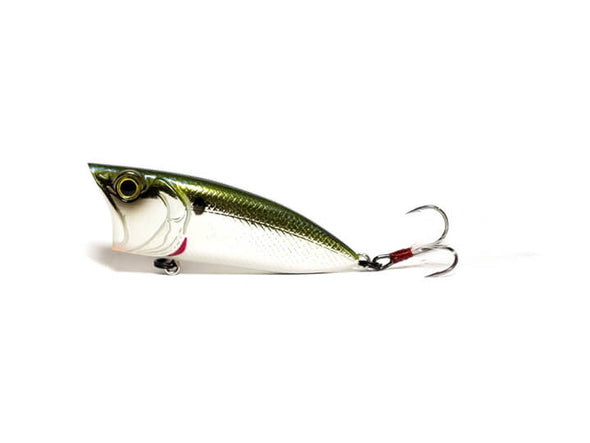 6th Sense Fishing Splash Back Topwater Popper Shad Hammer