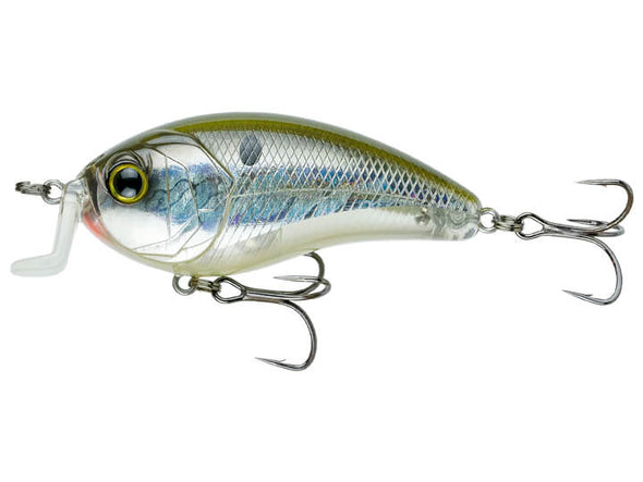 6th Sense Fishing Swank 66X Shad Burst