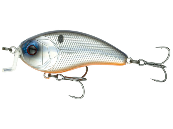 6th Sense Fishing Swank 66X Shad Surge