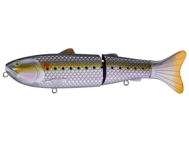 https://www.harpethriveroutfitters.com/cdn/shop/products/baitsanity-antidote-sardine_720x.jpg?v=1653320960