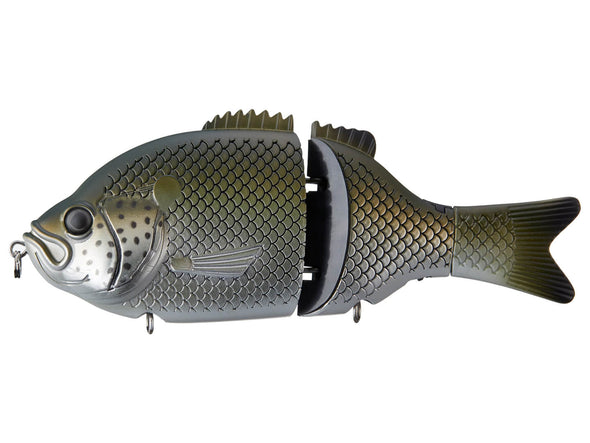 Baitsanity Explorer Gill Glide Bait