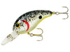 Bandit Lures 200 Series Crankbait Splatterback