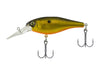 Berkley Bad Shad Fool's Gold