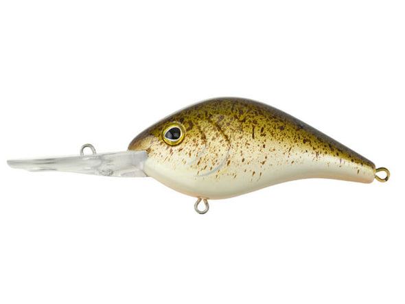 Berkley Dredger Crankbait Rootbeer Splatter Back