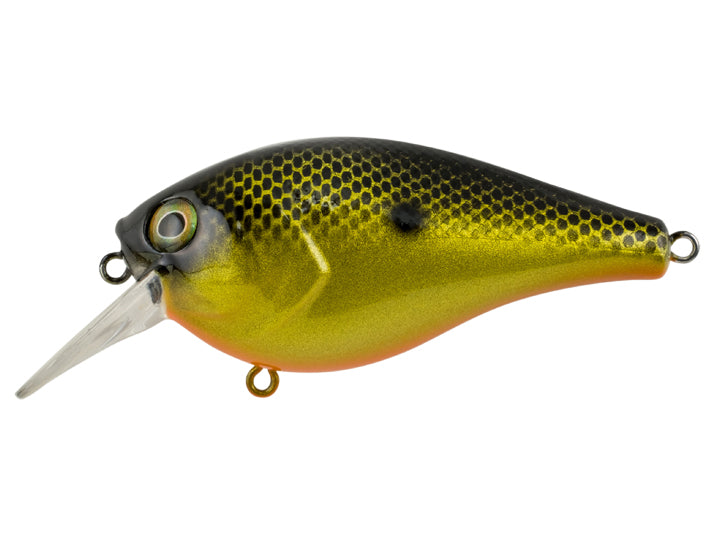 Berkley SquareBull Crankbait – Harpeth River Outfitters