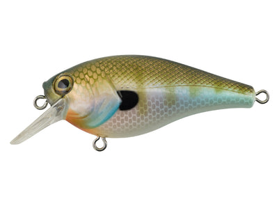 Berkley SquareBull Natural Bluegill
