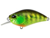 DUO Realis Crank Kabuki 55SR Chart Gill Halo