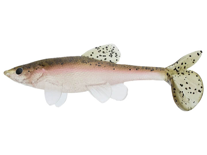 all american trash fish lure Little Creeper All American Trash Fish Swimbait 8