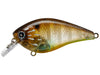 Lucky Craft LC Silent Squarebill Flake Flake Striped Gill