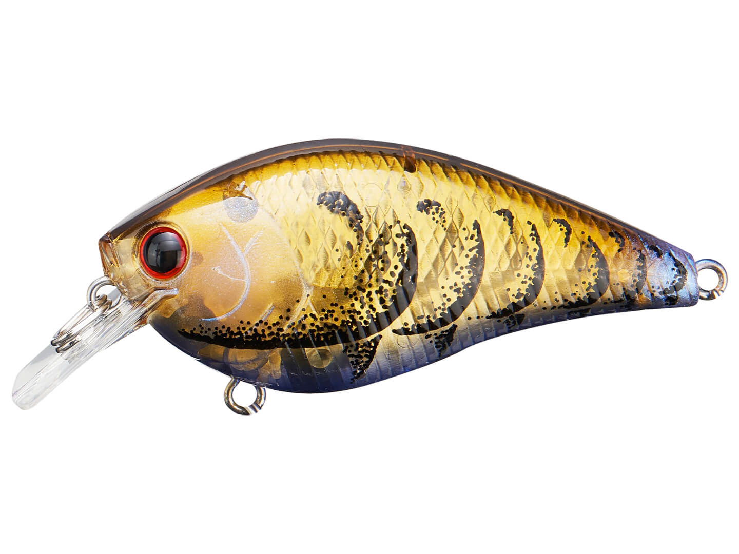 Lucky Craft LC 1.5 Silent Squarebill Crankbait – Harpeth River Outfitters