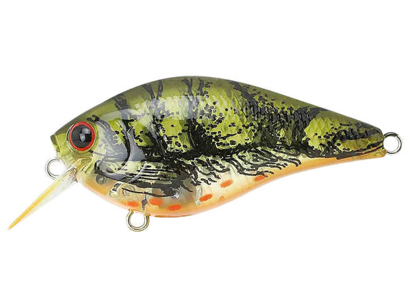 Lucky Craft LC Silent Squarebill TO Moss Green Craw