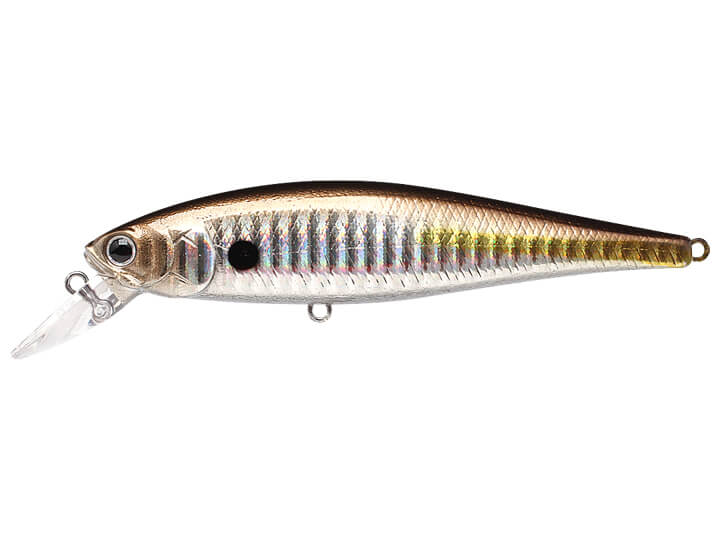 Lucky Craft Pointer Rip Bait - Citrus Shad