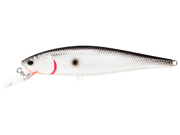 Lucky Craft Pointer Original Tennessee Shad