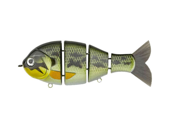 Mike Bucca Baby Bull Gill Swimbait Baby Bass