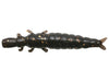 Nikko Caddisfly Dark Brown Gold