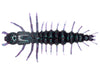 Nikko Hellgrammite 4.25" Southern Junebug