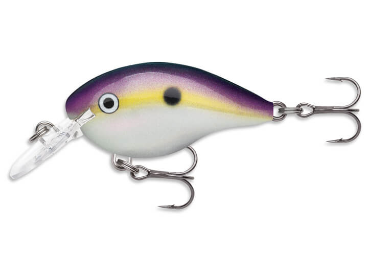 Rapala DT Series Crankbait 2021 New Colors – Harpeth River Outfitters