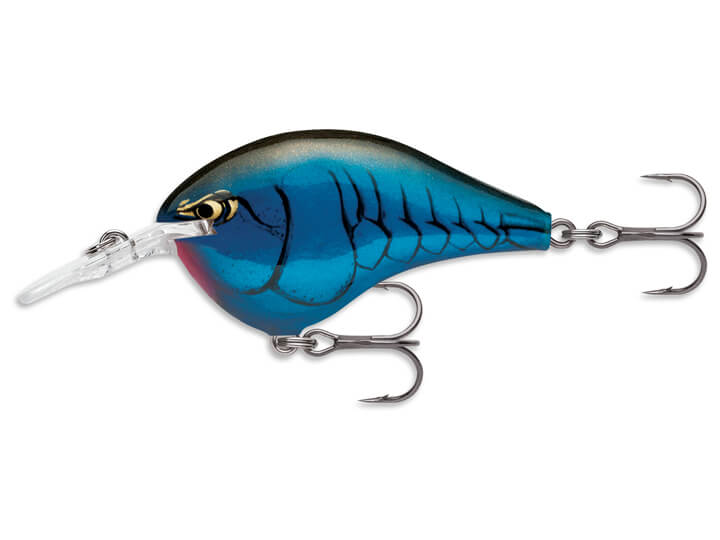 Mike Iaconelli Custom Ink Rapala DT Series Crankbait – Harpeth River  Outfitters