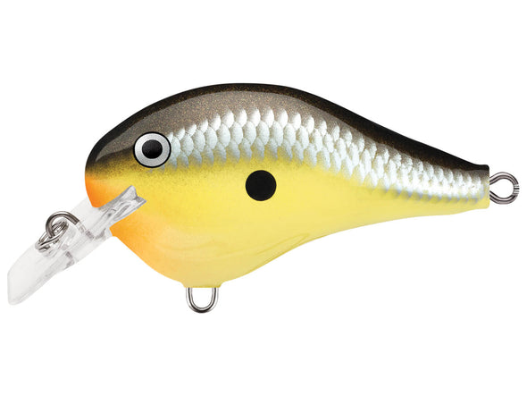 Rapala DT Fat Old School