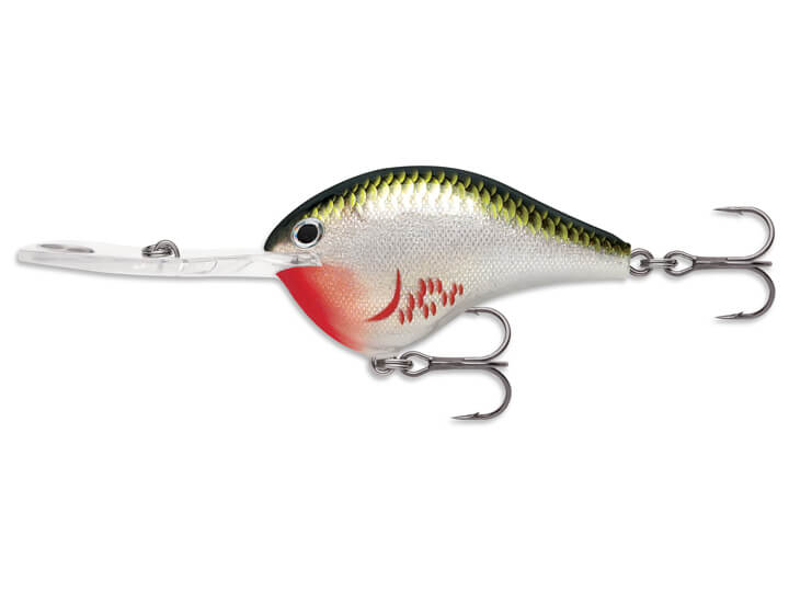 Rapala DT 20 Metal – Harpeth River Outfitters