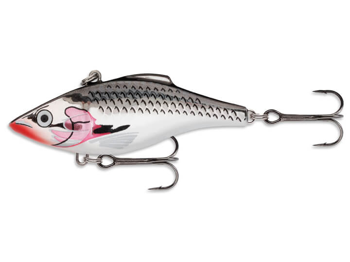 Rapala Rattlin Rap Lipless Crankbait – Harpeth River Outfitters