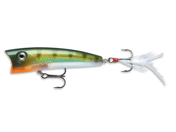 Rapala X-Rap Pop Yellow Perch