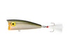Rebel Original Pop-R Tennessee Shad
