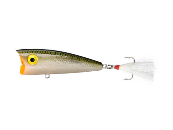 Rebel Original Pop-R Tennessee Shad