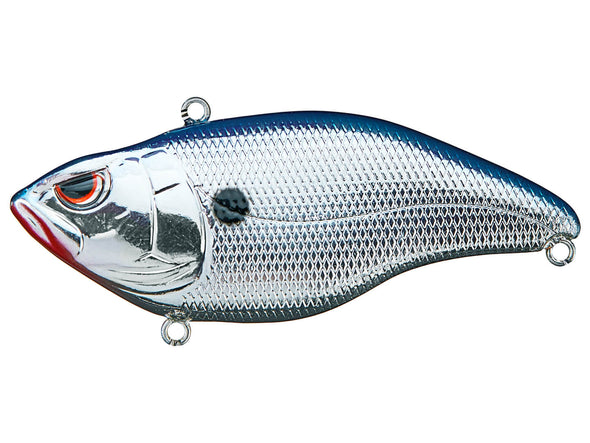 SPRO Aruku Shad Chrome Blue