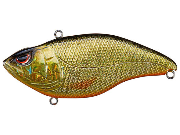 SPRO Aruku Shad Jr Gold Black