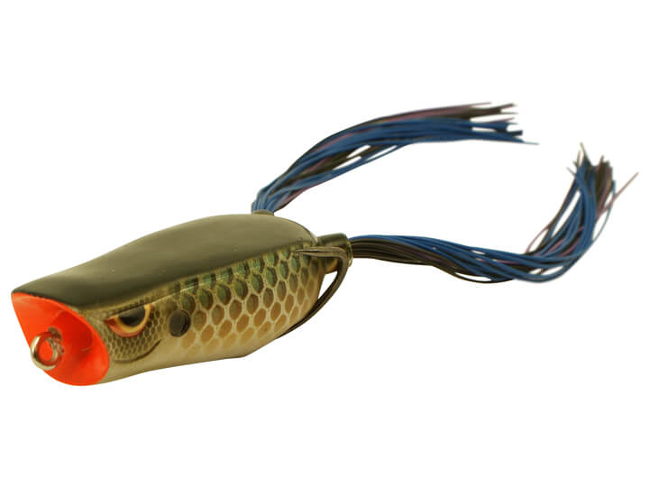 SPRO Bronzeye Poppin Frog – Harpeth River Outfitters