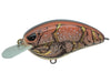 SPRO Little John 50 Crankbait Rusty Gold