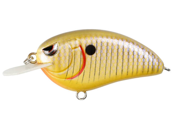 SPRO Little John 50 Crankbait Sunny Bream