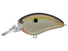 SPRO Little John MD 50 Type R Copper Shad