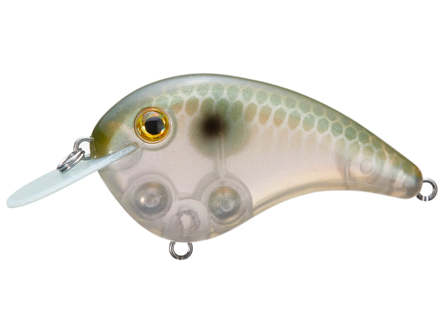 Strike King Chick Magnet Crankbait Green Gizzard Shad