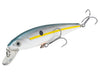 Strike King KVD 200 Jerkbait Sexy Shad